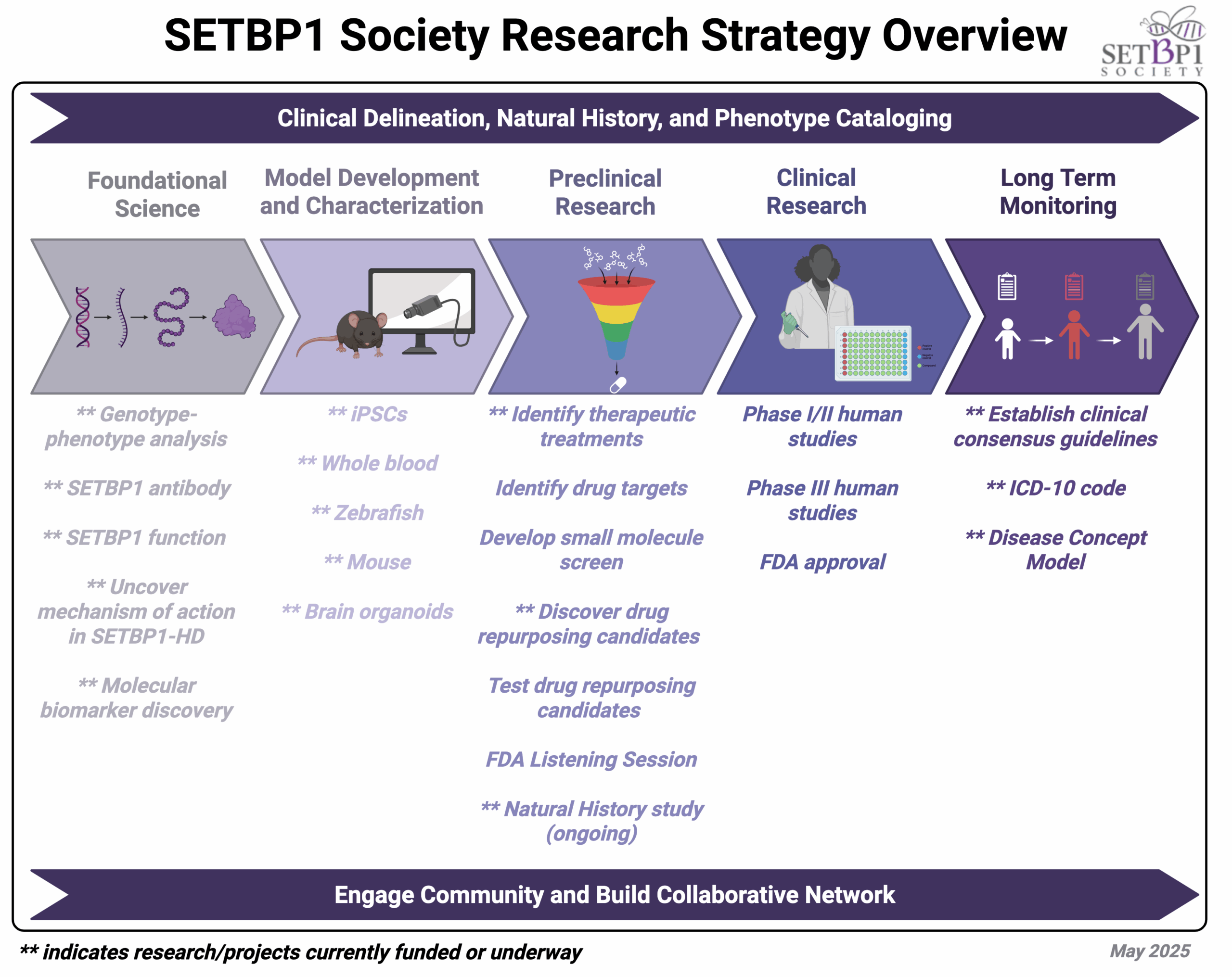 SETBP1 Society Research Strategy: A Roadmap Toward Treatments and Therapeutics